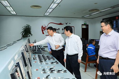 海螺集團(tuán)一把手楊軍深入寧國(guó)宣城調(diào)研 明確拍賣(mài)業(yè)務(wù)優(yōu)化方向